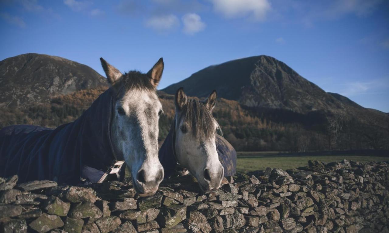 Cedar Nook Βίλα Loweswater Εξωτερικό φωτογραφία
